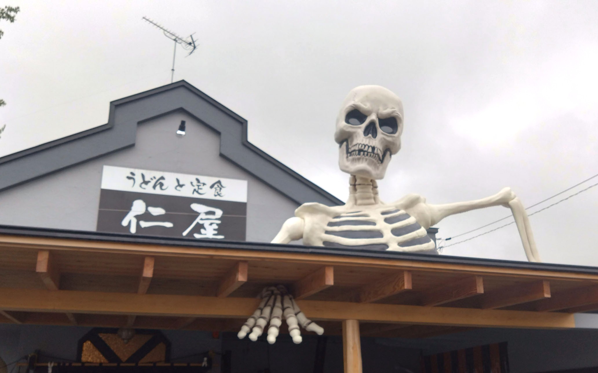 特徴的な外観