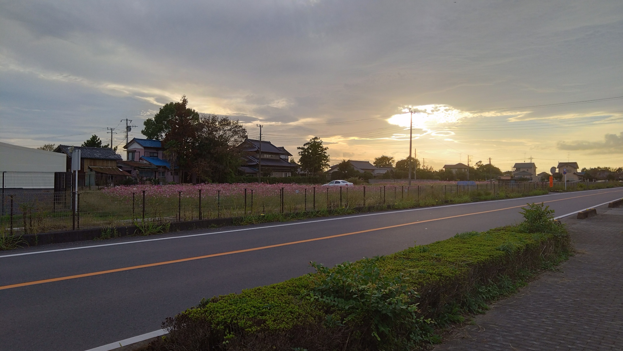 加須未来館までの道のり