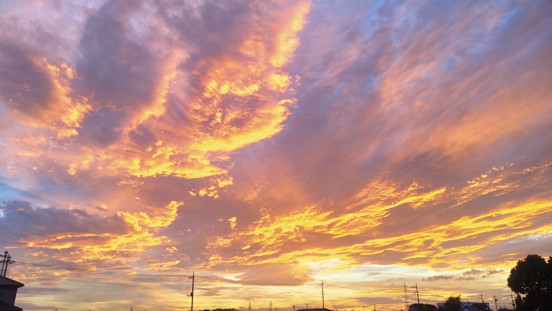 夕方画像