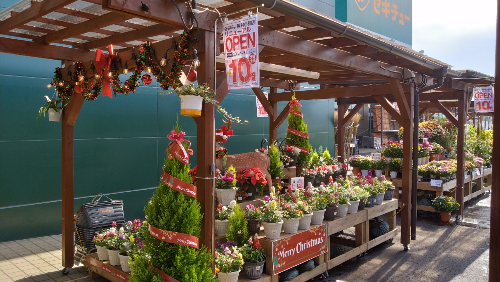 植物の販売の様子