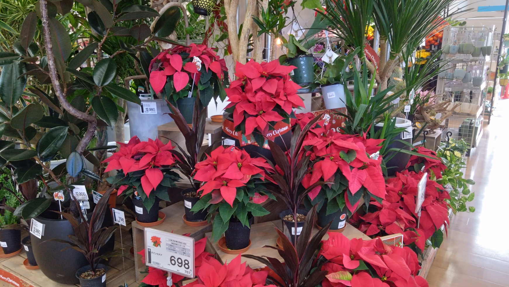 植物の販売の様子②