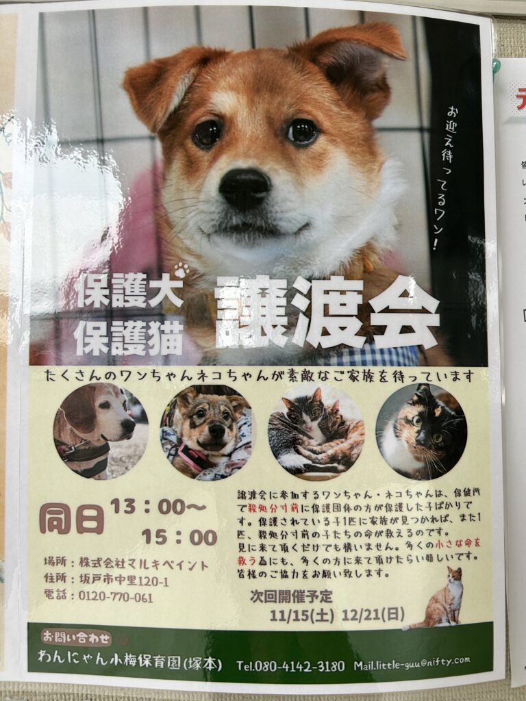 イベントチラシ